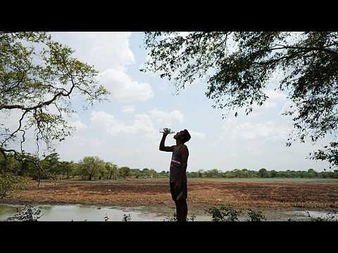 Dry wells and shrinking water holes as drought grips Sri Lanka