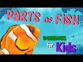 Understanding Fish Anatomy