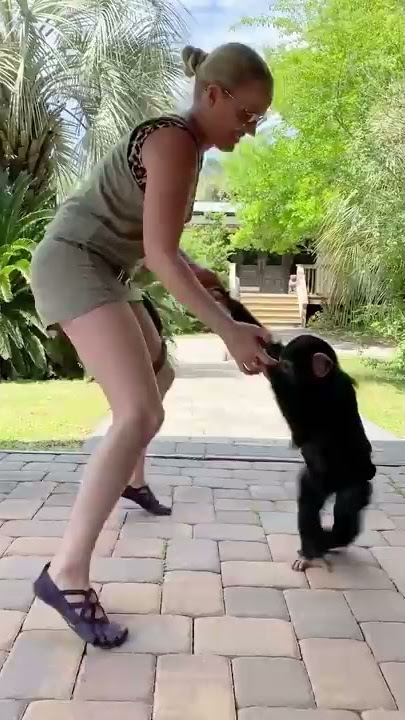 DANCING MONKEY!