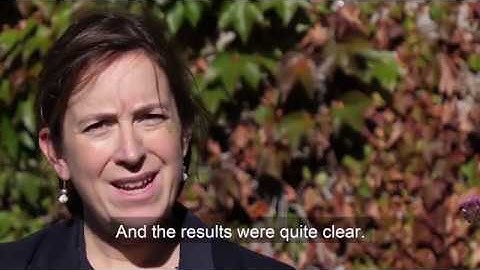 CONSEED  How to save money and reduce your carbon footprint