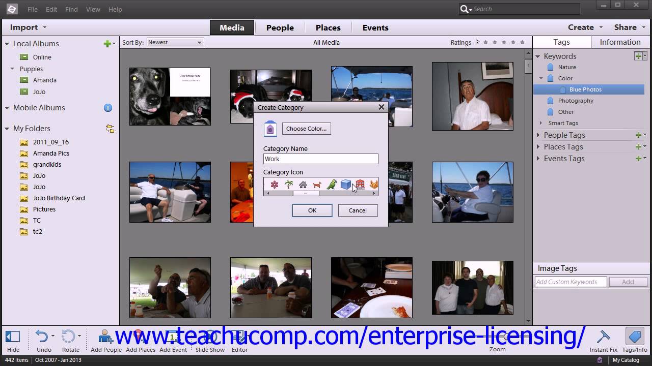 Adobe Photoshop Elements 12 Tutorial The Organizer Employee Group ...