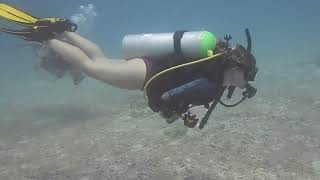 Scuba Girl Diving Over Sandy Floor