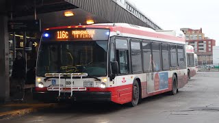 TTC Bus Compilation 19