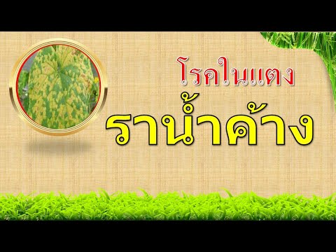 วีดีโอ: โหมดการตัดระหว่างการกัด: การคำนวณ คำจำกัดความ มาตรฐาน