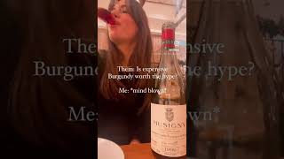 Is Expensive Burgundy worth the hype? #winetasting #wine #winetime #burgundy Profile