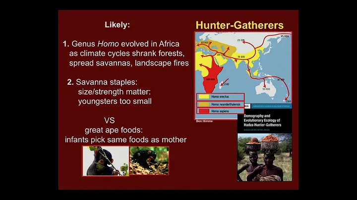 Kristen Hawkes: Hunter-Gatherers...  History and R...