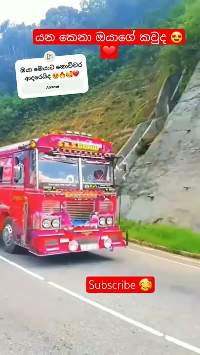 Sri Lankan Modified buses❤️|Dam Rajina❤️🔥2025😍Crazy bas pissa🇱🇰#shorts #newbusvideo #foryou