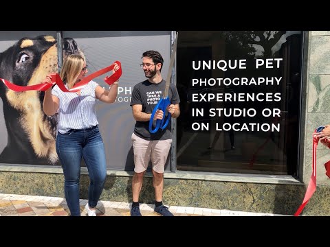 Our AGoldPhoto Pet Photography Studio Journey