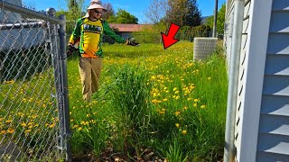 The Yard That Gave EVERY Neighbor 1000 Dandelions For FREE