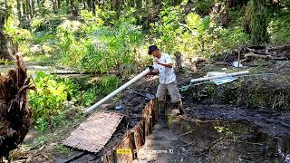 Part 2 Pembuatan Kolam Ikan Langsung Di Sumber Mata Air