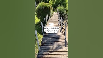 The Hidden Art of Finding Balance in Small Moments