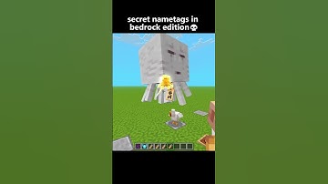 Minecraft secret name tags 💀