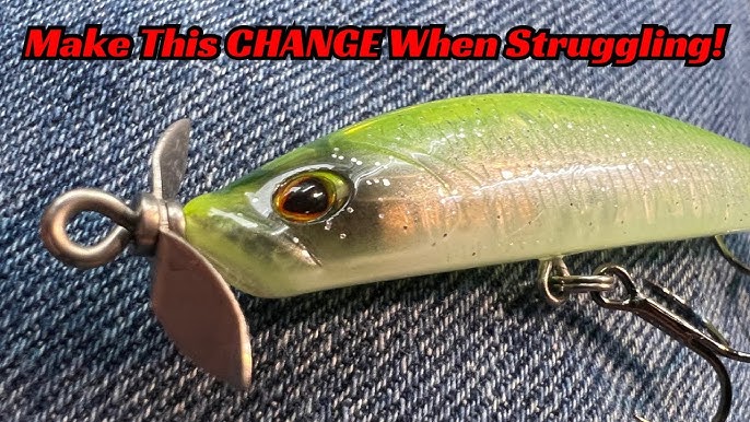 Why Aren't Fish Biting