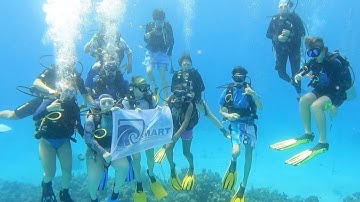 Inspiring Ocean Conservation with SeaSmart