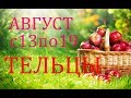 ТЕЛЬЦЫ. ГОРОСКОП на НЕДЕЛЮ с 13по19 АВГУСТА 2018г.