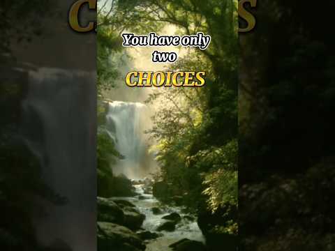 You Have Only Two Choices Storynstories Motivationalquotes Quotes Ytshort Youtubeshort 