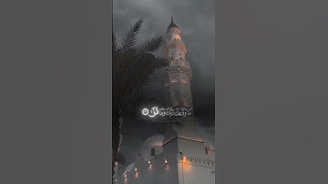 اكتب شيئ تؤجرعليه 💬🍂#سورة الضحى #قراءة_هادئة #قران كريم