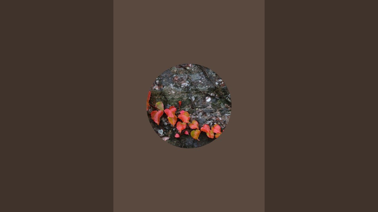 عالم ام البنات est en direct !