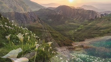 تلاوة بصوت حسن منسي من سورة الحج الآيات (19-37)