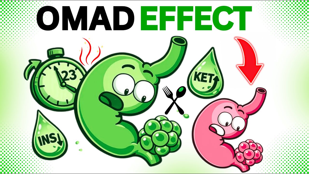 OMAD: What One Meal a Day Does Inside Your Body