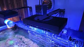 2 1/2 Year Update: SmatFarm LED Saltwater Aquarium Reef Lights, G5 Review.