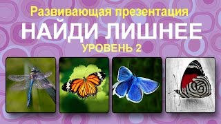 Развивающая игра &quot;Найди лишнее&quot; для детей 1-2 лет. Уровень 2.