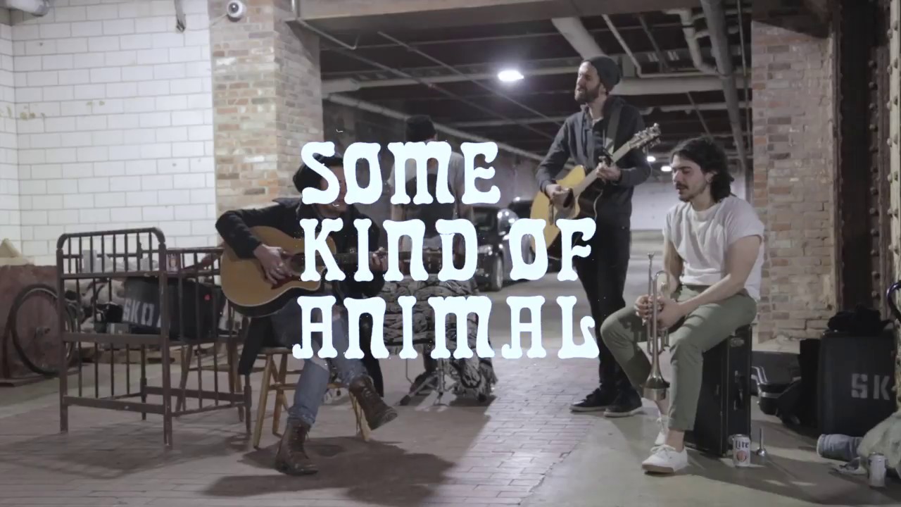 Some Kind of Animal - Good Ol Days // NPR Tiny Desk