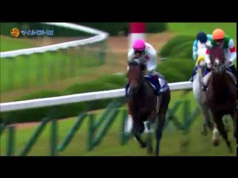 2016 マイルチャンピオンシップ　優勝ミッキーアイル