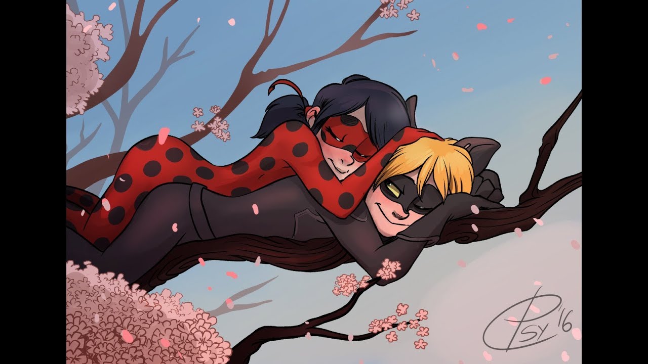 Кот и леди баг