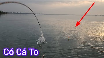 Trị An Nay Nước Rút Có Cá To Nhiều Rồi Nha Anh Em