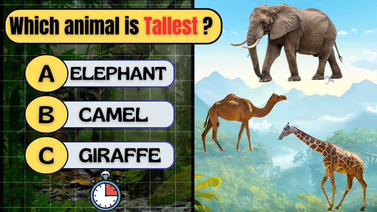 30 GK Questions | Test Your General Knowledge | GK Quiz 2026