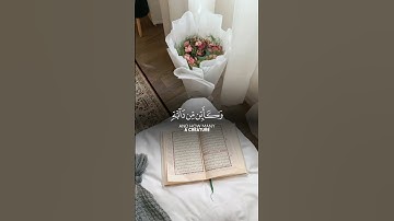 #ٱلَّذِينَ_صَبَرُواْ_وَعَلَىٰ_رَبِّهِمْ_يَتَوَكَّلُونَ_سورة_النحل#عبدالرحمن_مسعد#القرآن_الكريم