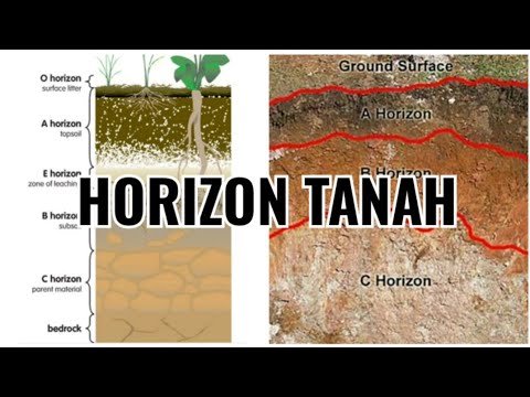 Video: Apa tiga horizon tanah utama?