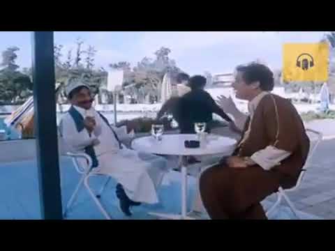 يوم تلات ٣بنات ندهولي عمرو دياب