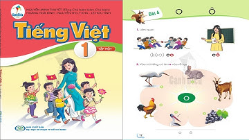 Tiếng Việt 1 Cánh Diều Tập 1 -  Bài 4 -  o và ô