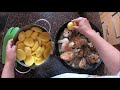 Курица тушенная с грибами и картошкой