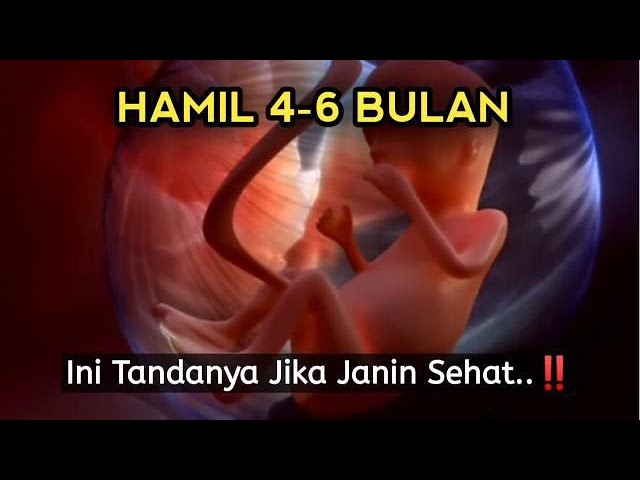 Tanda Janin Sehat di Trimester Kedua | Usia 4-6 Bulan! class=