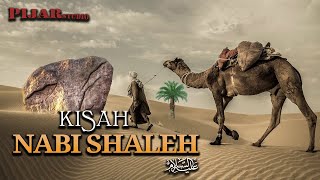 Kisah Nabi SHALEH 'Alaihissalam Dan Kemunculan Unta Dari Dalam Batu Besar