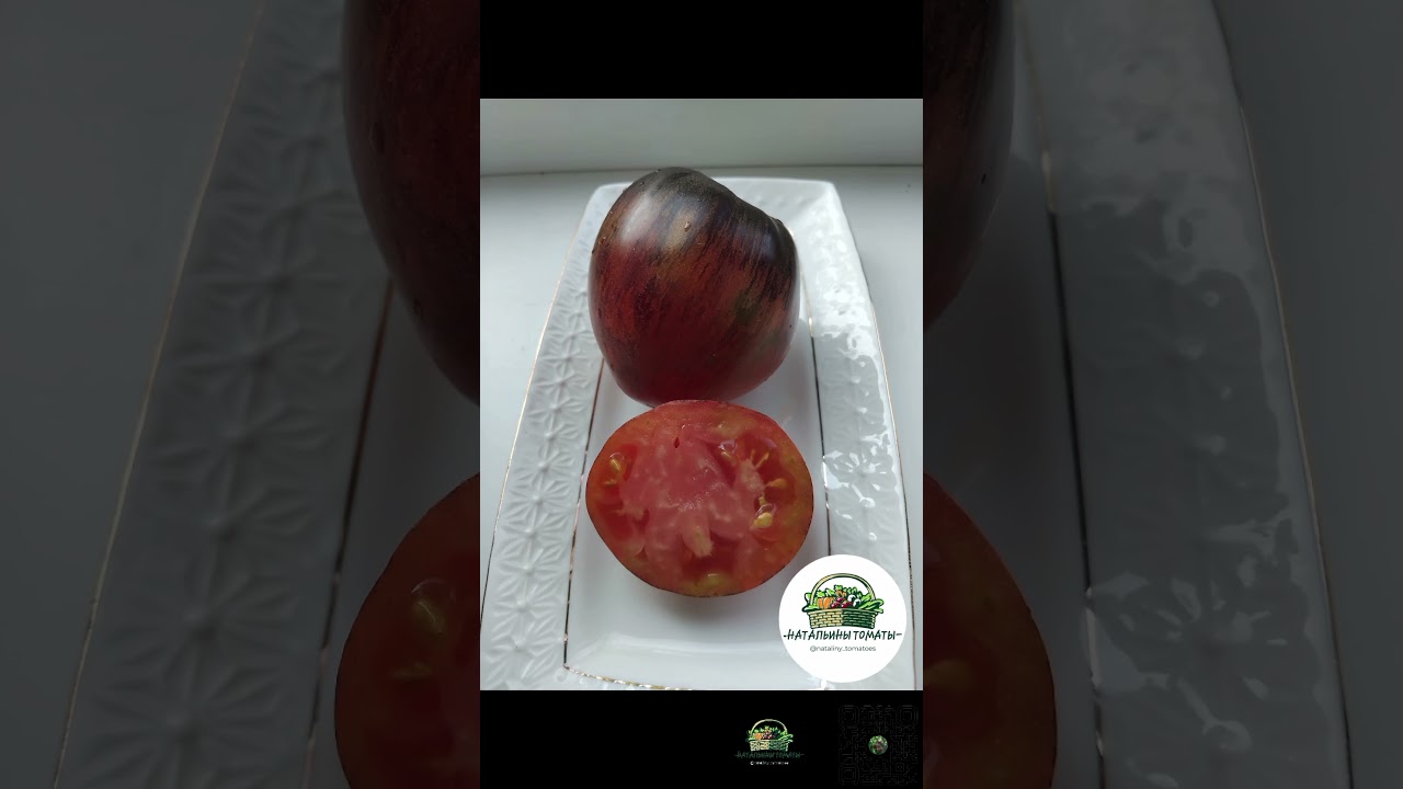 Подборка САМЫХ ранних сортов томатов 