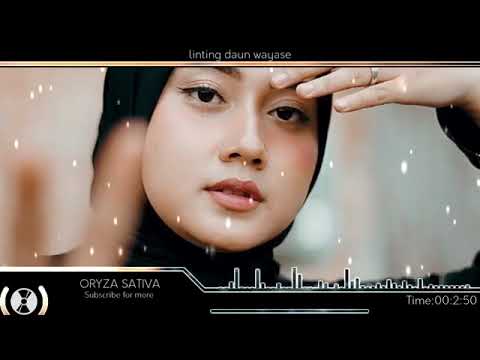 linting daun wayase terbaru 2022