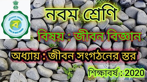 Class-IX//Life science//নবম শ্রেণি//জীবন বিজ্ঞান//জীবন সংগঠনের স্তর//প্রানীকলা//শিক্ষাবর্ষ 2020//