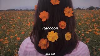 It Looks Sad - Raccoon // Subtitulada al español