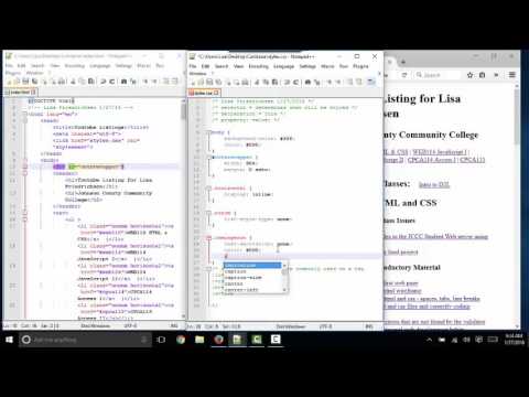 Common css errors not found by the css validator