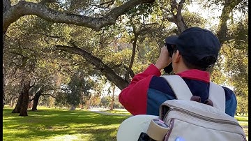 New Science | California Academy of Sciences