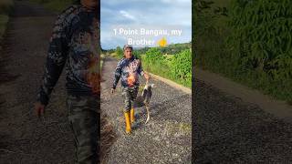 1 Point bangau lagi gaess.. #hunting #berburu #bangau #Survival #alam