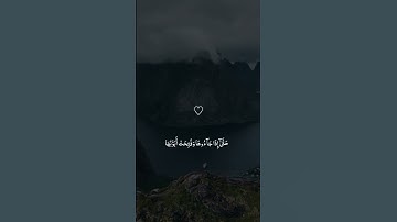 القران الكريم | سورة الزمر | القارئ شريف مصطفى