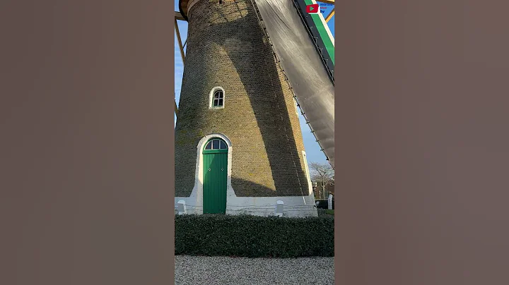 ZOUTELANDE   ????  Molen