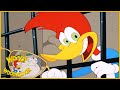 Woody Woodpecker | Cable Ace | Woody Woodpecker Full Episode | Kids Cartoon | Videos for Kids