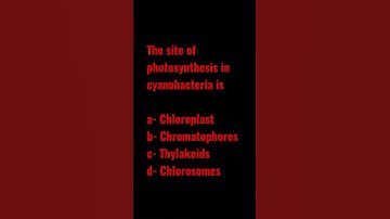 GATE-XL Microbiology PYQ 2022#gateaptitude#competitiveexams #gatexl#lifesciences#microbiology