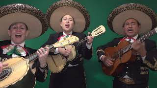 TRES REGALOS.       Mariachi Trio Palenque de Aurelio Reyes 